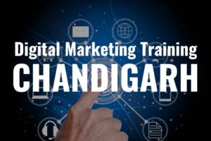 Digital Marketing Training Chandigarh